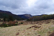 SHG24757_21.jpg