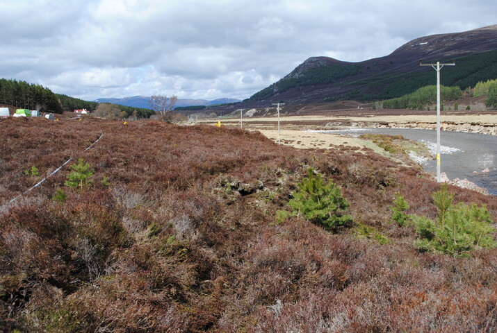 SHG24757_28.jpg