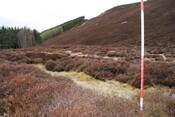 SHG24757_7.jpg