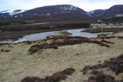 SHG24757_9.jpg