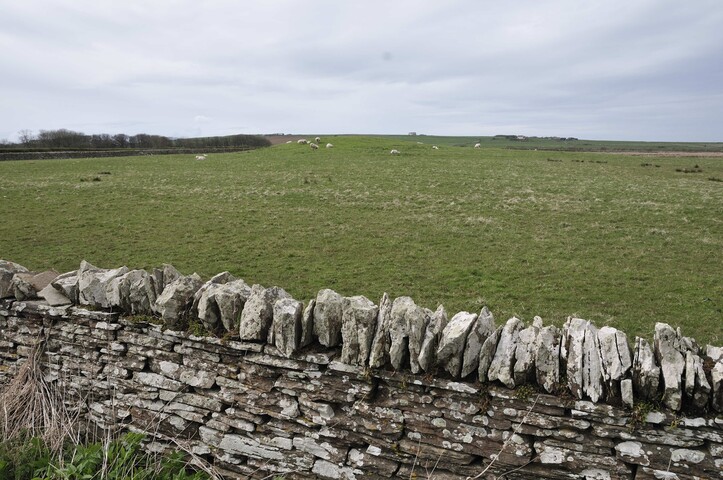 _DSC5455.jpg
