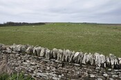 _DSC5455.jpg