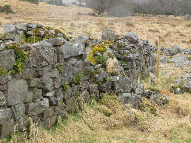 026 Ruins in South West corner of site.JPG