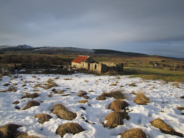 030 Site looking West.JPG
