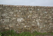 IMG_5818.JPG