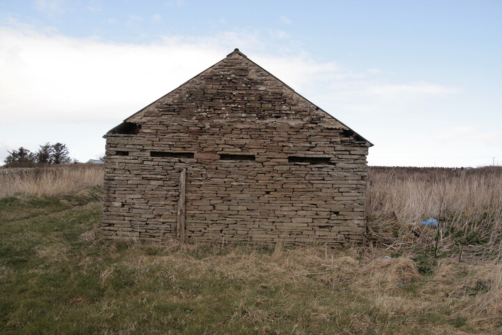 North Keiss (15).JPG