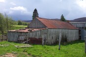 DCP_1870.JPG