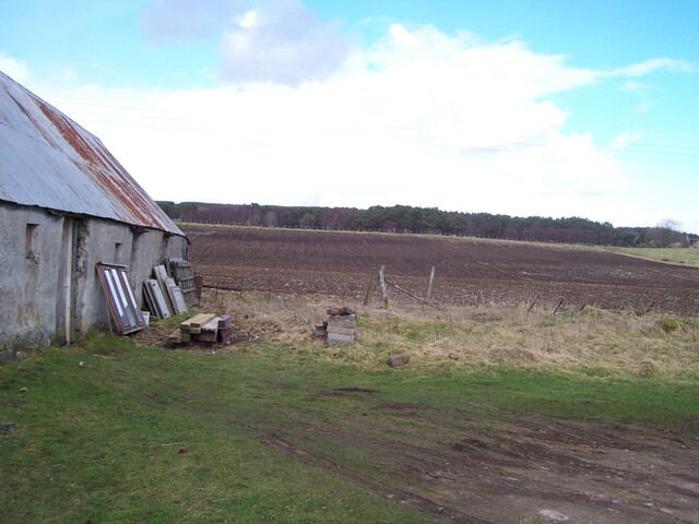 100_0085.JPG