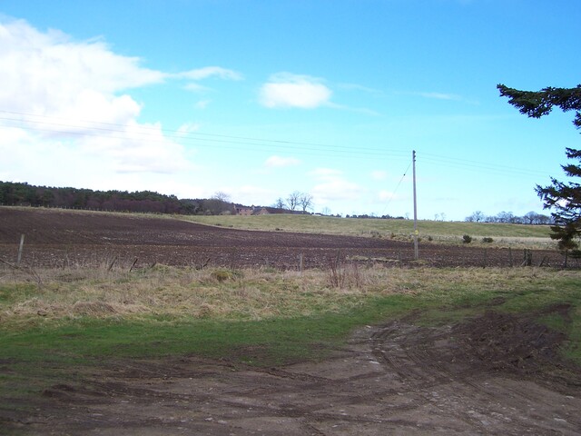 100_0086.JPG
