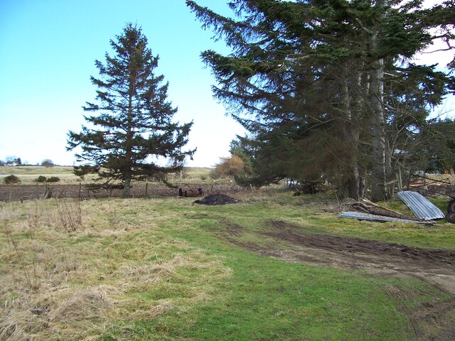 100_0087.JPG