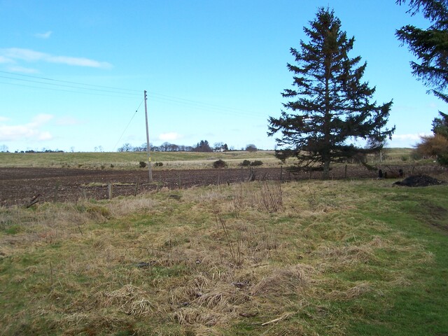 100_0088.JPG