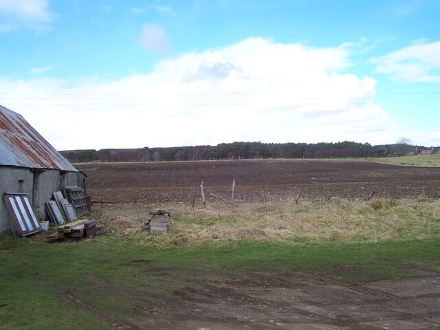 100_0090.JPG