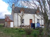 Three trees 019.JPG