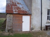Three trees 022.JPG