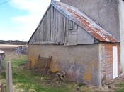 Three trees 025.JPG