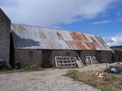 Three trees 031.JPG