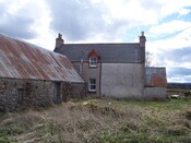 Three trees 040.JPG