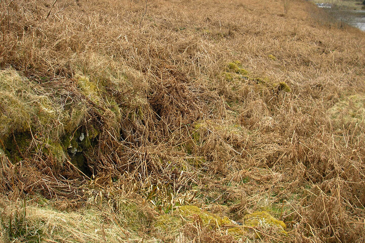 slumbay north east longhouse.jpg