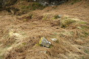slumbay north longhouse.jpg