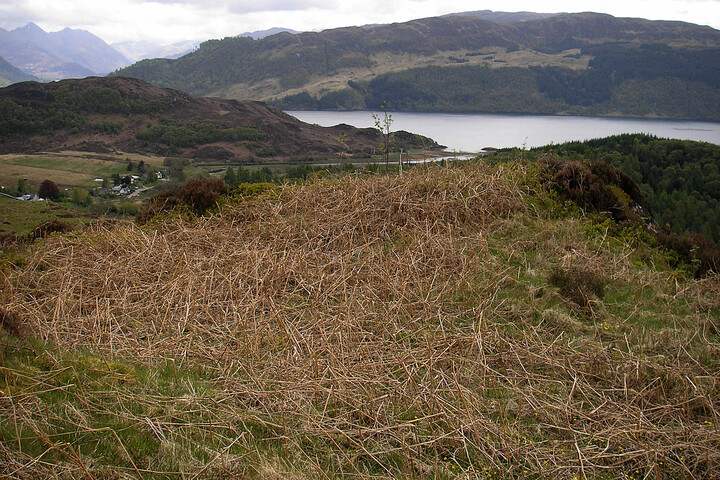 nostie dun MHG9251 (plateau - NW looking SE).jpg