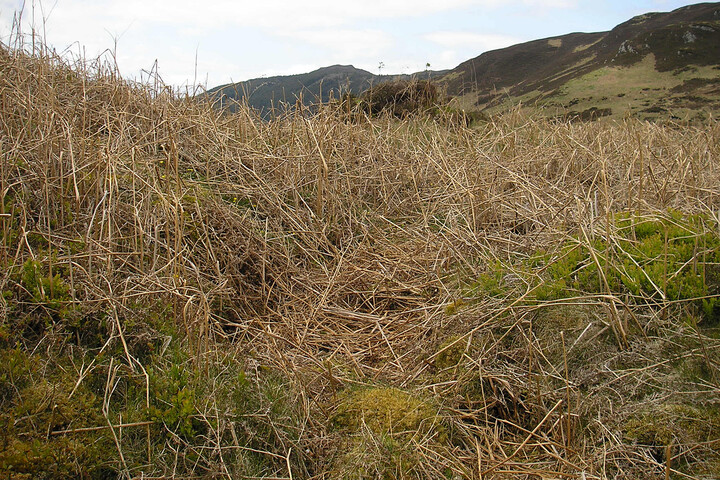 nostie dun MHG9251 (poss. entry passage facing east).jpg