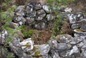maelrubha's chapel - cell E.JPG