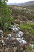 maelrubha's chapel - cells B to E.JPG