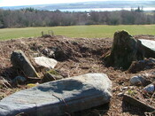 DSCF0458 Carn Liath view to South and Cromarty Firth.JPG