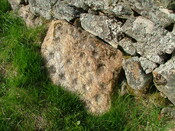 DSCF0765 Cup marked stone in  boundary wall Drumore and Swordale Farms.JPG
