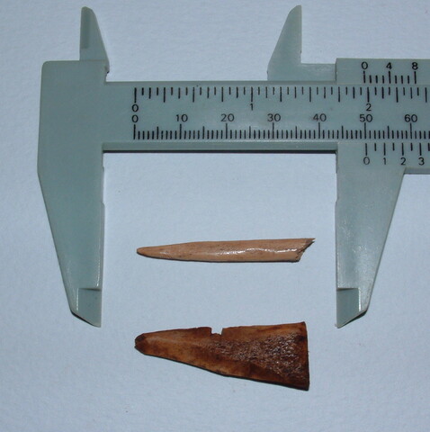 Exc135.JPG