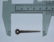 Exc137.JPG