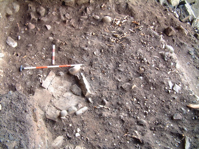 Exc213.JPG