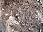 Exc213.JPG