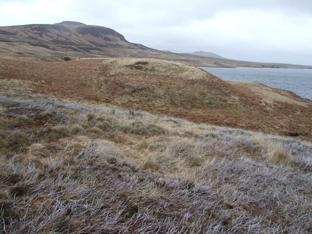 DSCF7738 ring fort shap clearer in this pic.jpg