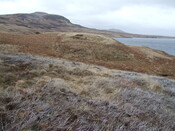 DSCF7738 ring fort shap clearer in this pic.jpg