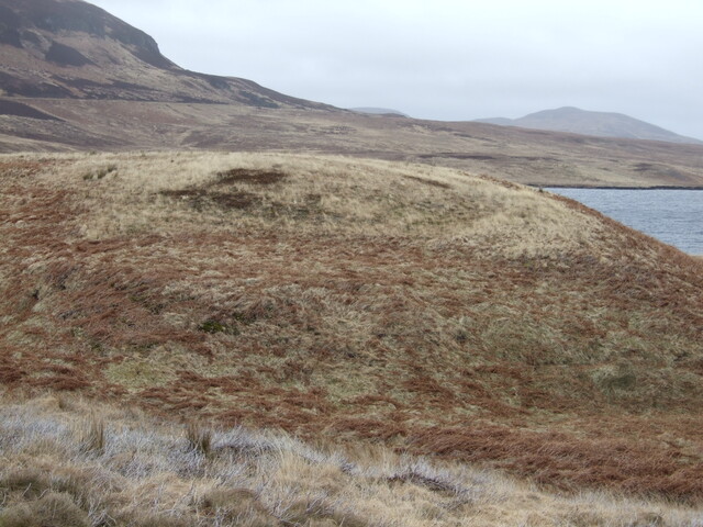 DSCF7739.jpg