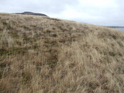 DSCF7742 on top of hill.jpg