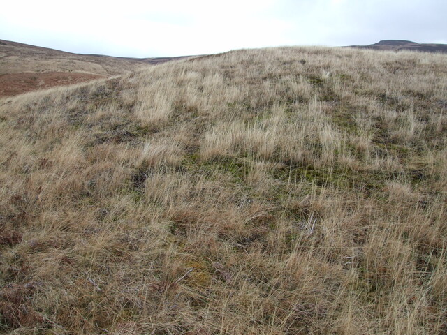 DSCF7743 on top, view to west.jpg