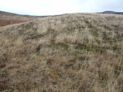 DSCF7743 on top, view to west.jpg