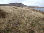 DSCF7745.jpg
