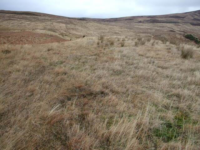 DSCF7753.jpg
