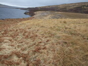 DSCF7754 on top view to south. Ring not clear but various di.jpg