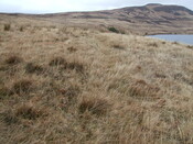 DSCF7755.jpg