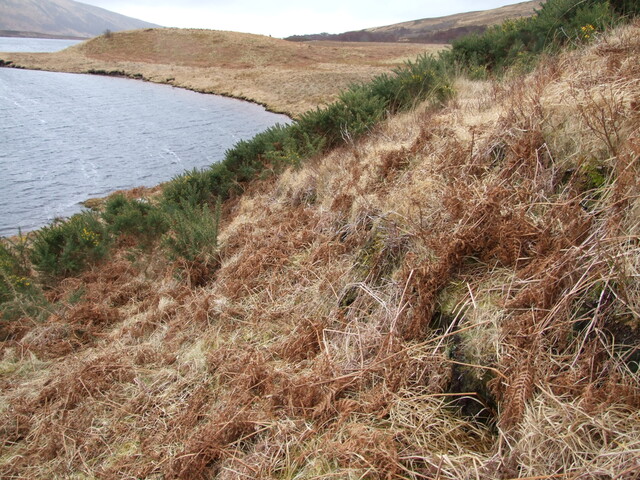DSCF7769 View to South shows north flank of ring fort hill. .jpg