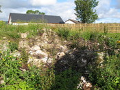 IMG_2247.jpg