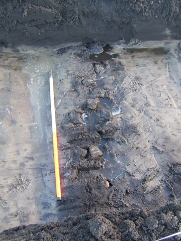 2007_01040003.JPG