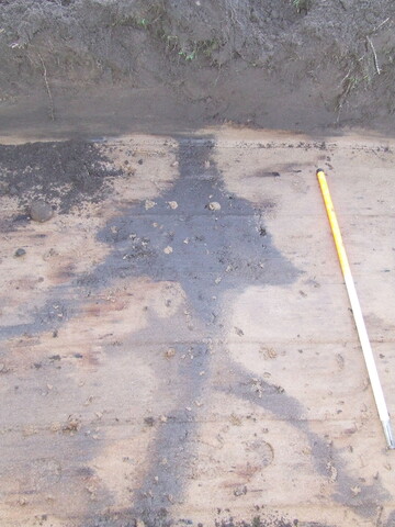 2007_01040009.JPG