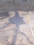 2007_01040009.JPG