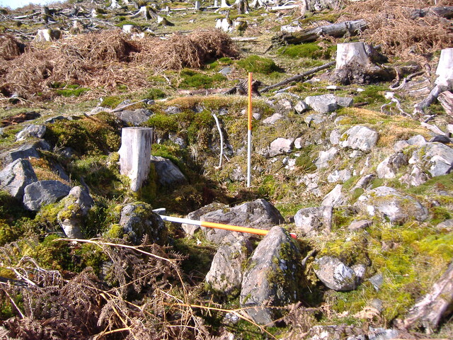 DSCF0643.JPG