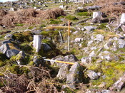 DSCF0643.JPG